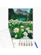 Számozott kifestő készlet vászonra 40x50 cm - Hegyi százszorszépek