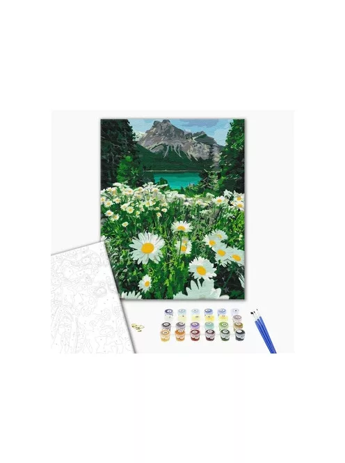 Számozott kifestő készlet vászonra 40x50 cm - Hegyi százszorszépek
