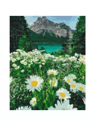 Számozott kifestő készlet vászonra 40x50 cm - Hegyi százszorszépek