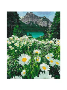 Számozott kifestő készlet vászonra 40x50 cm - Hegyi százszorszépek