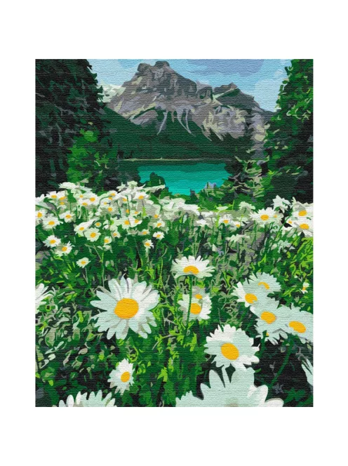 Számozott kifestő készlet vászonra 40x50 cm - Hegyi százszorszépek