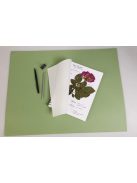 Itatóskönyv, írható, rajzolható, festhető - Növények nyomtatásához, Herbárium - 180 gr/m2 - A4