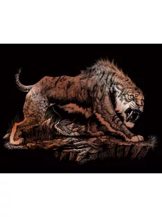   Képkarcoló készlet karctűvel - 20x25 cm - Réz - Kardfogú tigris