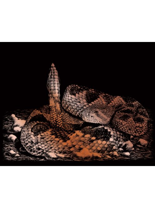 Képkarcoló készlet karctűvel - 25x20 cm - Réz - Csörgőkígyó