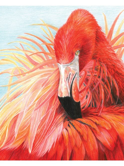 Számozott színező készlet, 20x25cm - Flamingó