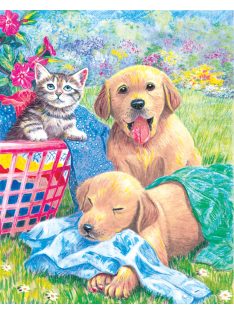   Számozott színező készlet, 20x25cm - Cicák és kutyák a mosott ruhákkal