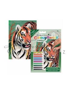 Számozott színező készlet, mini - Tigris