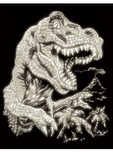 Kreatív hobby - Karckészlet - Tyrannosaurus Rex, 20x25 cm