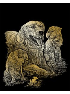 Kreatív hobby - Képkarc készlet - Arany - Golden Retriever