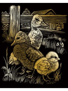 Kreatív hobby - Képkarc készlet - Arany - Madárfiókák