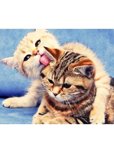 Számozott kifestő készlet vászonra 40x50 cm - Cicák játszanak
