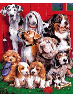 Számozott kifestő készlet vászonra 40x50 cm - Kutya sereglet