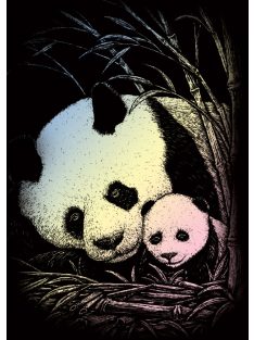 Kreatív hobby - Holografikus - Panda