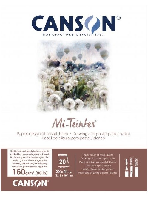 Mi-Teintes CANSON, savmentes színes pasztelltömb, kétoldalas fehér, 32x41 cm