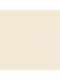 Metálfényű papír - Fehérarany színű papír 120gr, Kétoldalas - White Gold