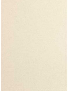 Metálfényű papír - Fehérarany színű papír 120gr, Kétoldalas - White Gold