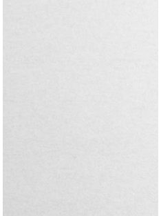   Metálfényű papír - Fémes barnás színű, fényes kétoldalas papír 120gr - Gesztenye