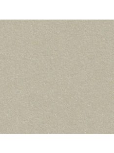   Metálfényű papír - Homokszínű metál csillogású papír 120gr, Kétoldalas - Eukaliptusz