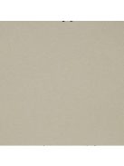 Metálfényű papír - Homokszínű metál csillogású papír 120gr, Kétoldalas - Eukaliptusz