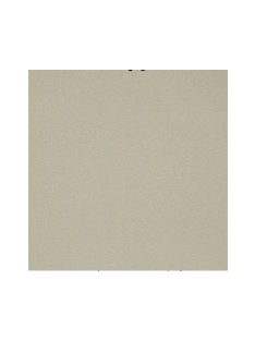   Metálfényű papír - Homokszínű metál csillogású papír 120gr, Kétoldalas - Eukaliptusz