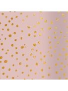 Bullet Journal Spotlights Rose A5