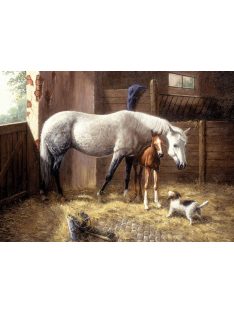 Kifestő készlet számokkal, ecsettel, felnőtteknek - 30x40 cm - Új barátok