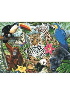 Kreatív hobby - Kifestő - Állatkert