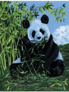 Kreatív hobby - Panda, kifestő festővászonra