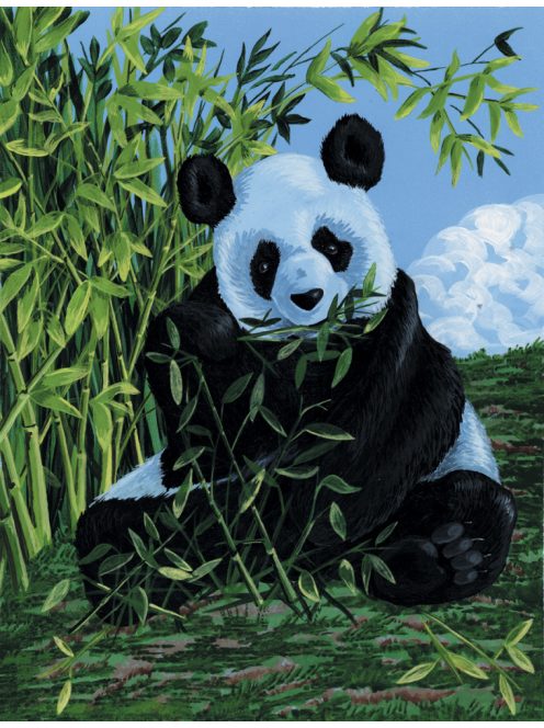 Kreatív hobby - Panda, kifestő festővászonra