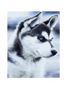 Számozott kifestő készlet vászonra 40x50 cm - Husky kölyök - Részletes