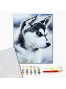 Számozott kifestő készlet vászonra 40x50 cm - Husky kölyök - Részletes