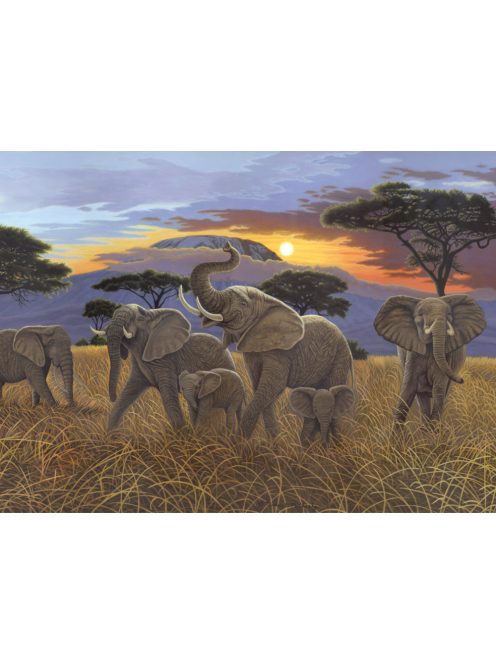 Kifestő készlet akrilfestékkel, ecsettel, gyerekeknek 11 éves kortól - 30x40 cm - Kilimanjaro