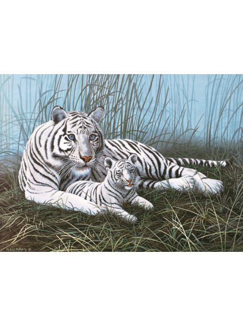 Kreatív hobby - Fehér tigris a ködben