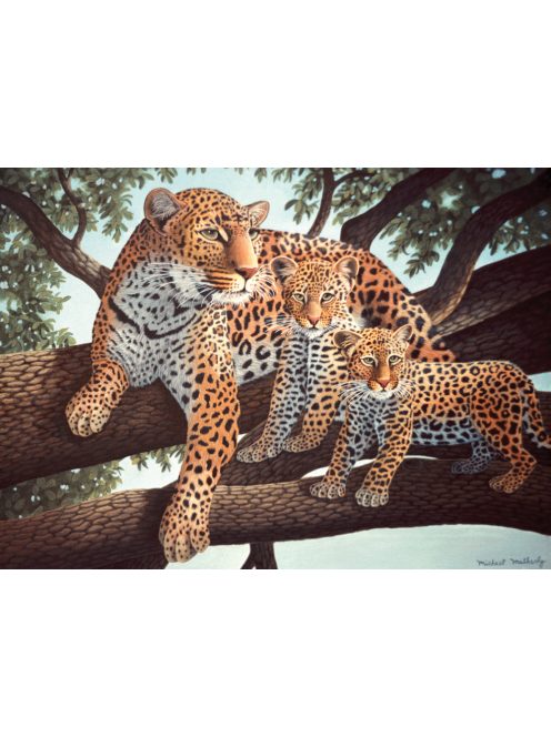 Kreatív hobby - Afrikai leopard