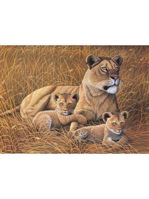 Kreatív hobby - Afrikai oroszlán