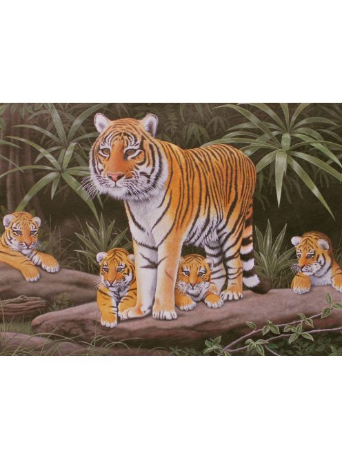 Kreatív hobby - Tigris család
