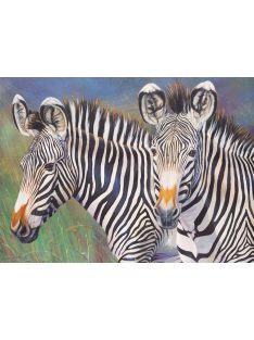 Számozott kifestő készlet akrilfestékkel, ecsettel, gyerekeknek - 30x40 cm - Zebra pá