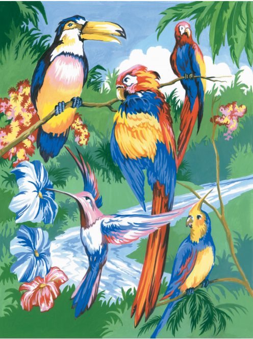 Kreatív hobby - Trópusi madarak