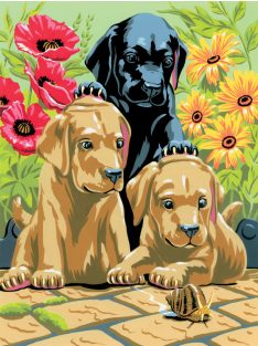 Kreatív hobby - Labrador kölykök