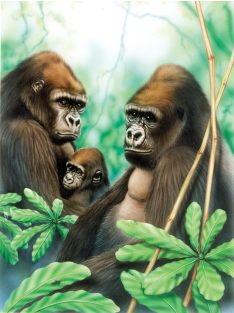   Kifestő készlet akrilfestékkel, ecsettel, gyerekeknek 8 éves kortól - 20x25 cm - Gorilla család