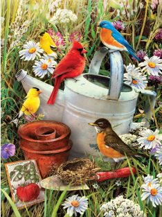   Kifestő készlet számokkal, ecsettel, gyerekeknek 8 éves kortól - 20x25 cm - Madarak a kertben