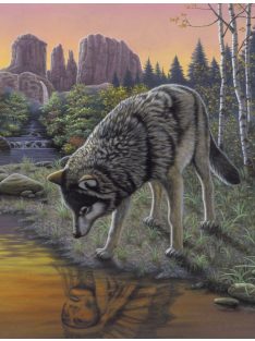   Kifestő készlet akrilfestékkel, ecsettel, gyerekeknek 8 éves kortól - 20x25 cm - Szürke farkas