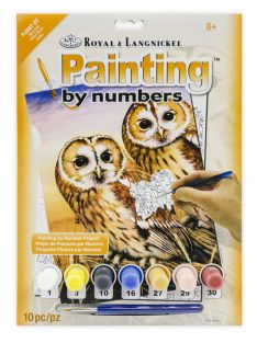   Kifestő készlet akrilfestékkel, ecsettel, gyerekeknek 8 éves kortól - 20x25 cm - Macskabagoly