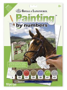   Kifestő készlet akrilfestékkel, ecsettel, gyerekeknek 8 éves kortól - 20x25 cm - Ló felszerszámozva
