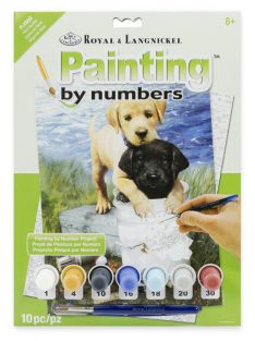 Kifestő készlet számokkal gyerekeknek - 20x25 cm - Labrador kölykök a tóparton