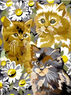 Számozott kifestő készlet akrilfestékkel, ecsettel, gyerekeknek - Cicák százszorszépe