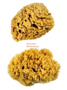 Kreatív hobby - Festőszivacs - Royal XL Sponge - természetes tengeri szivacskészlet, 2 db-os készlet