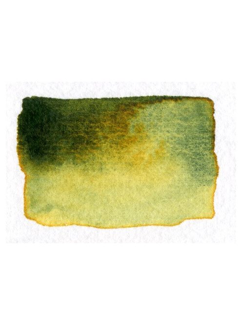 Aquarius akvarell festék - egész szilke - Őszi zöld