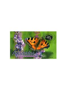   Akvarell művészkészlet, szilkés - Krzysztof Kowalsky válogatás, 12 színű - Roman Szmal Aquarius