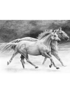Rajztanítás készlet kellékekkel - 23x30 cm - Vadlovak